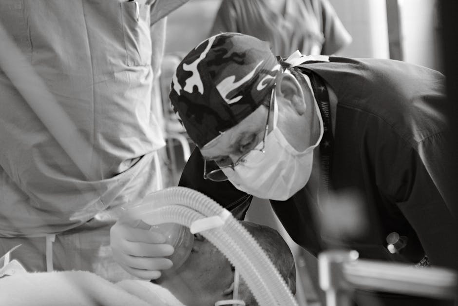 pexels-photo-33907397